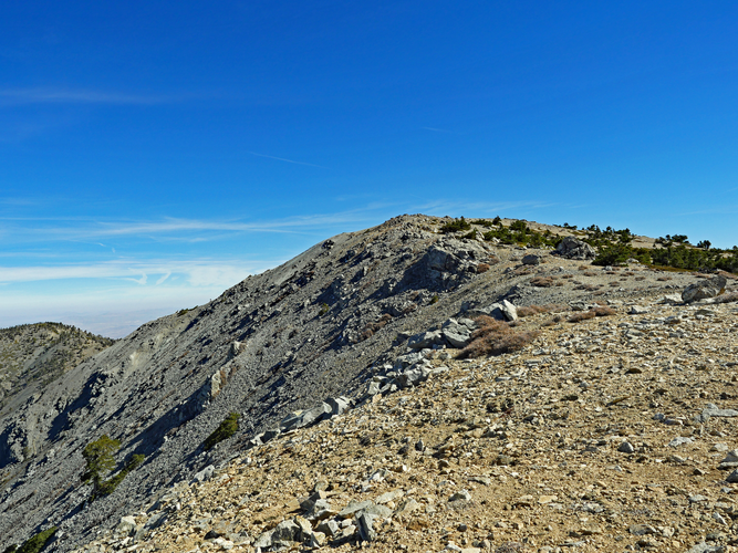 West Baldy and Mount San Antonio via Bear Canyon Trail and Devils Backbone Trail