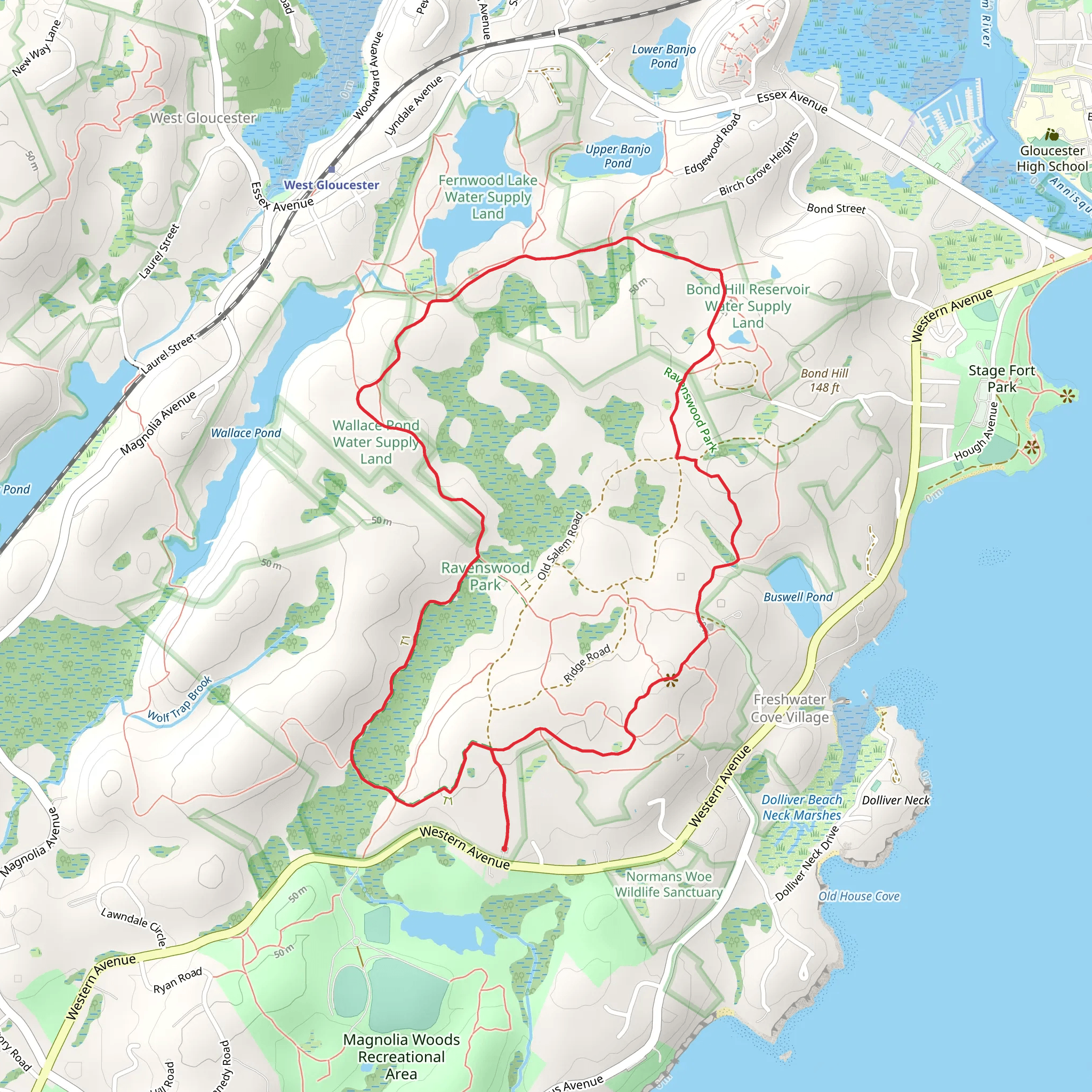 Fernwood Lake Trail and Magnolia Swamp Trail Loop mobile static map