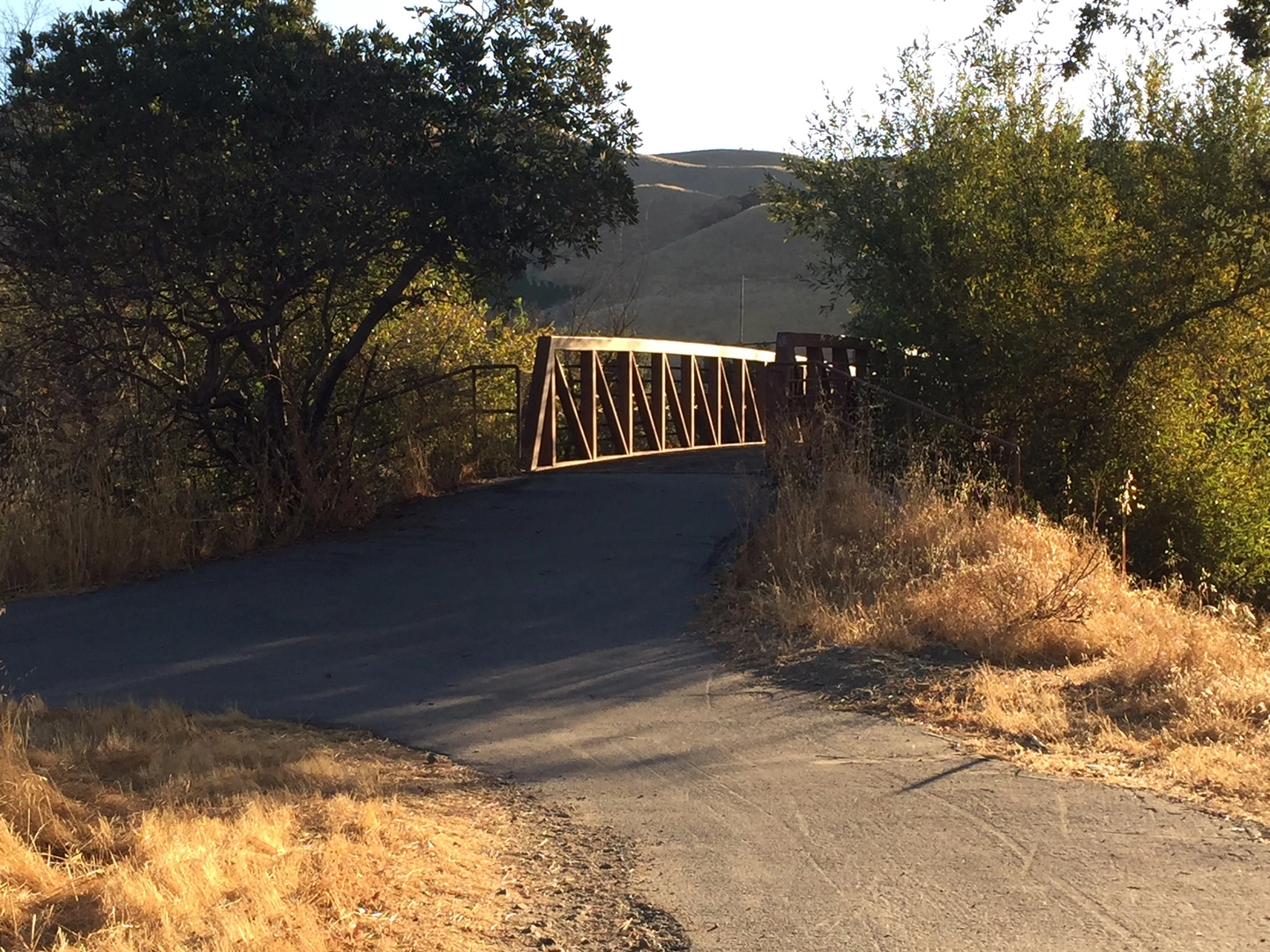 An image depicting the trail Wagon Road and Winery Loop Trail and its surrounding area.