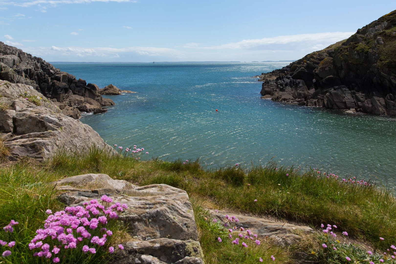 An image depicting the trail Porth Clais East and its surrounding area.
