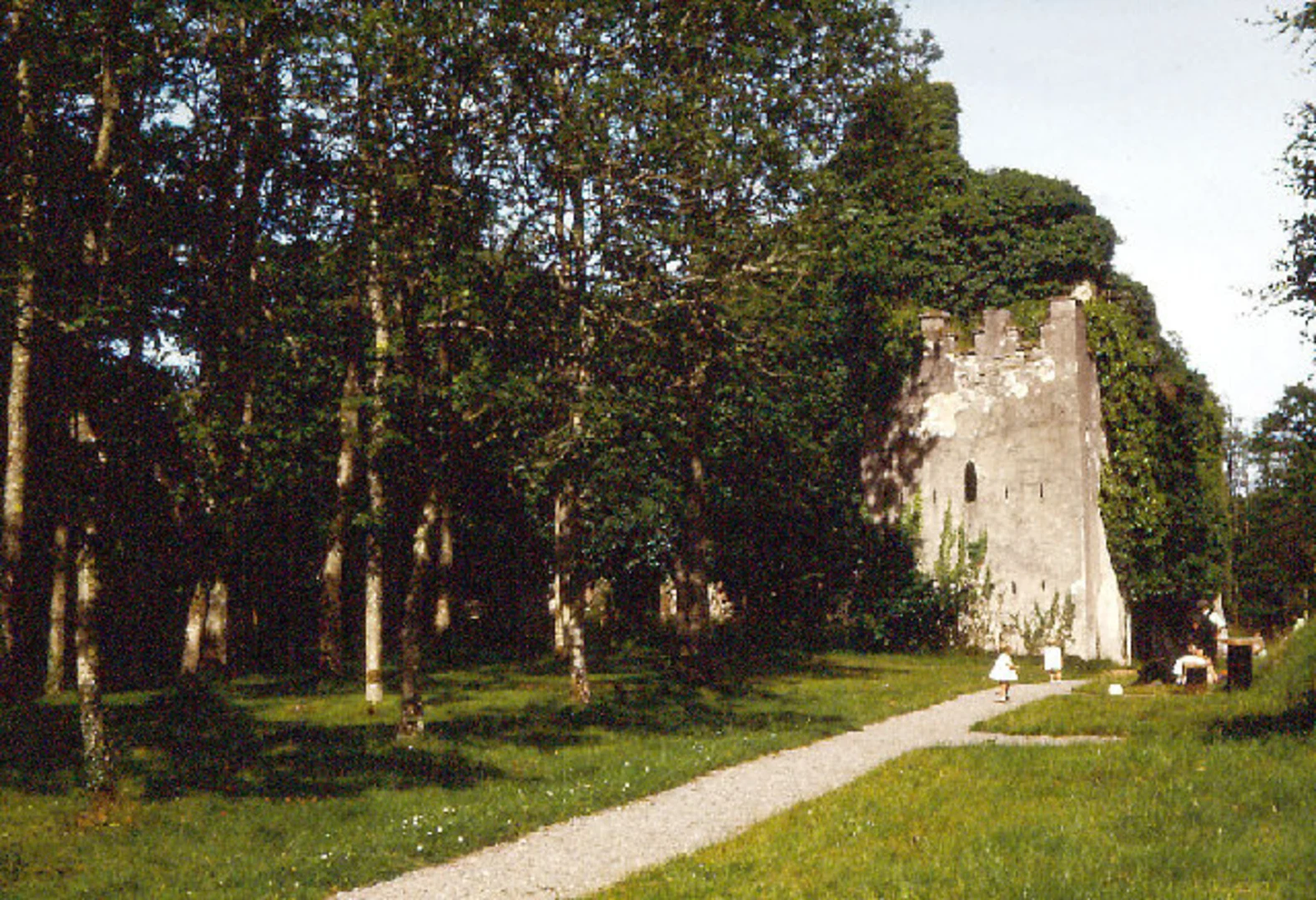 An image depicting the trail Castle Caldwell Forest - Castle Scenic Walk and its surrounding area.