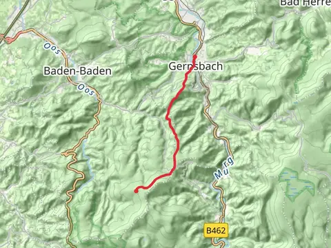 Gernsbach to Harzbrunnen via Saulachkopfhuette - Heidenell