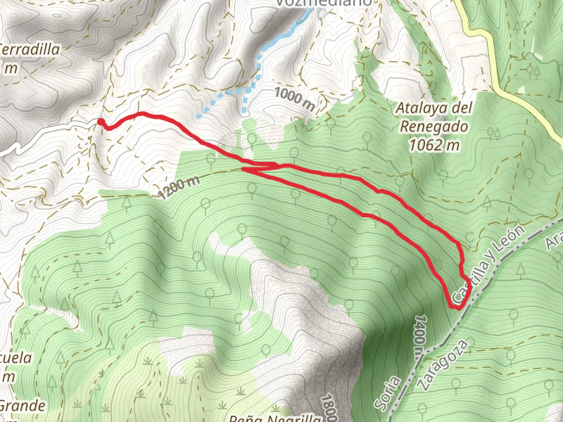 Moncayo Beech Forest Trail PR SO 79