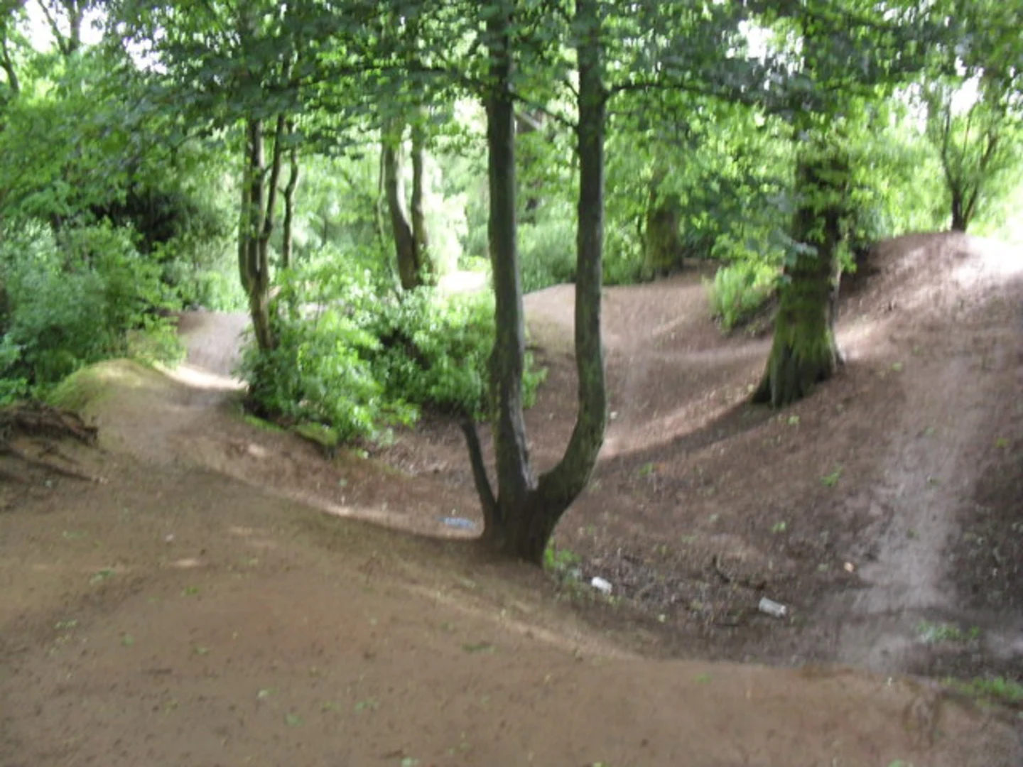 An image depicting the trail Iron Age Hill Fort Loop and its surrounding area.