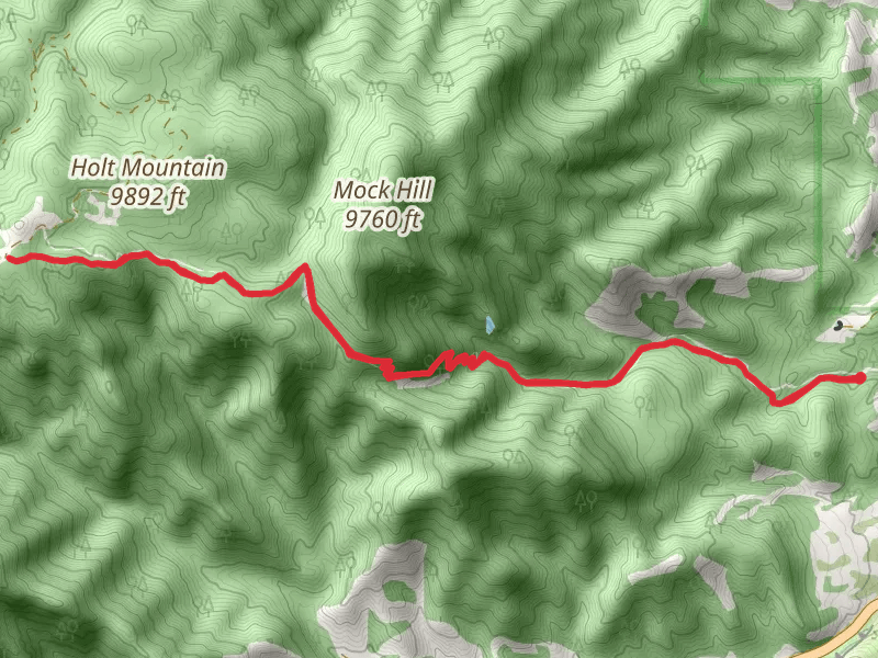 Lewis Creek Trail