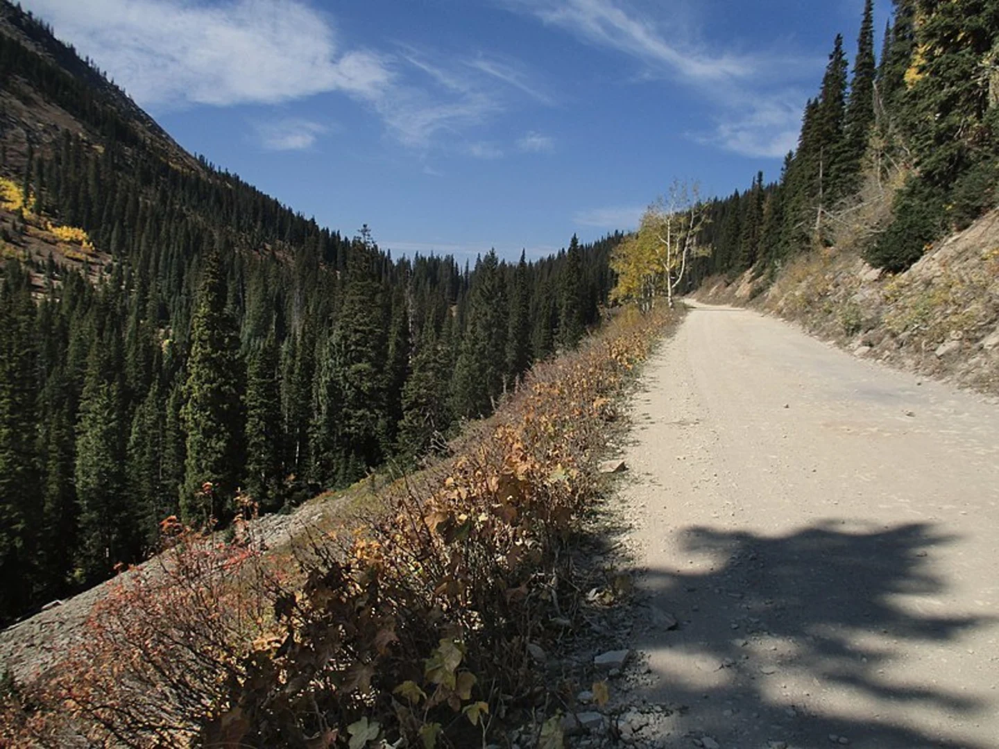 An image depicting the trail Carbon Trail and its surrounding area.