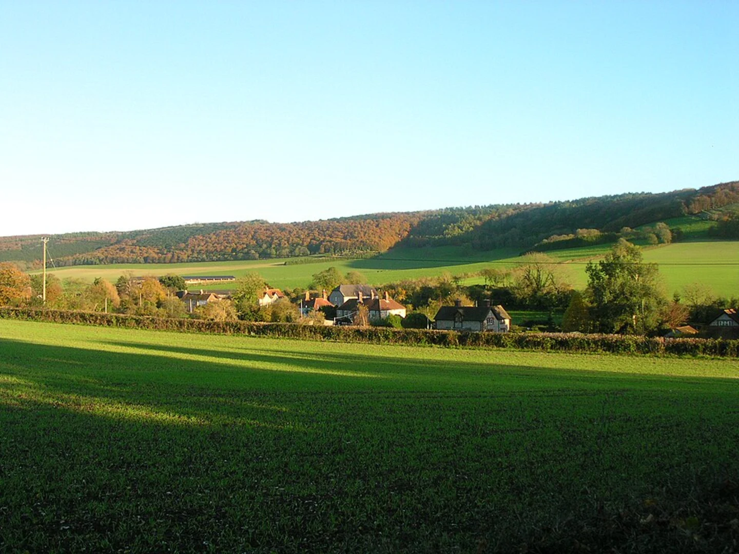 An image depicting the trail Tansley Stone, Kingley Vale and Devil's Humps Loop and its surrounding area.