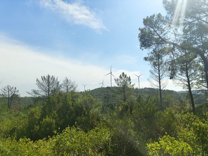 Caminho da Nazaré