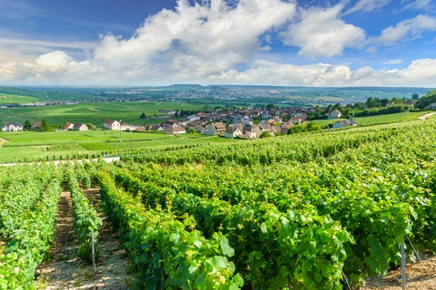 Via Francigena - France