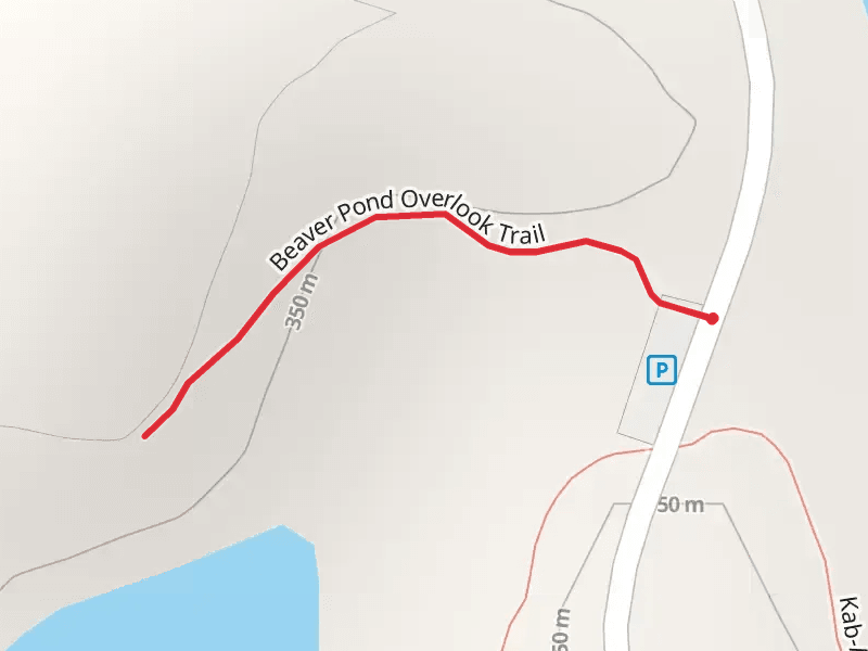 Beaver Pond Overlook Trail