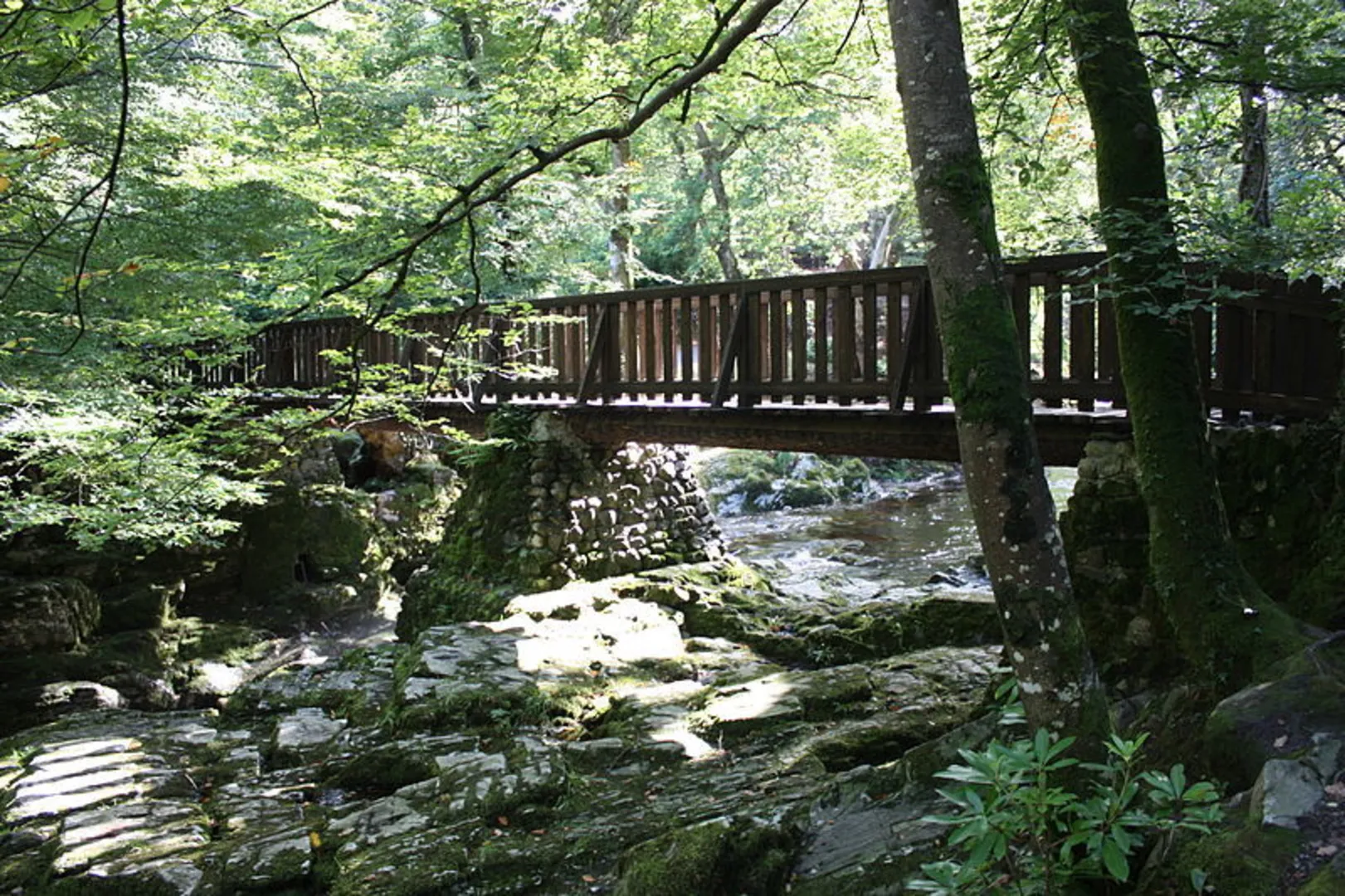 An image depicting the trail Tollymore Forest Park Loop from Newcastle and its surrounding area.