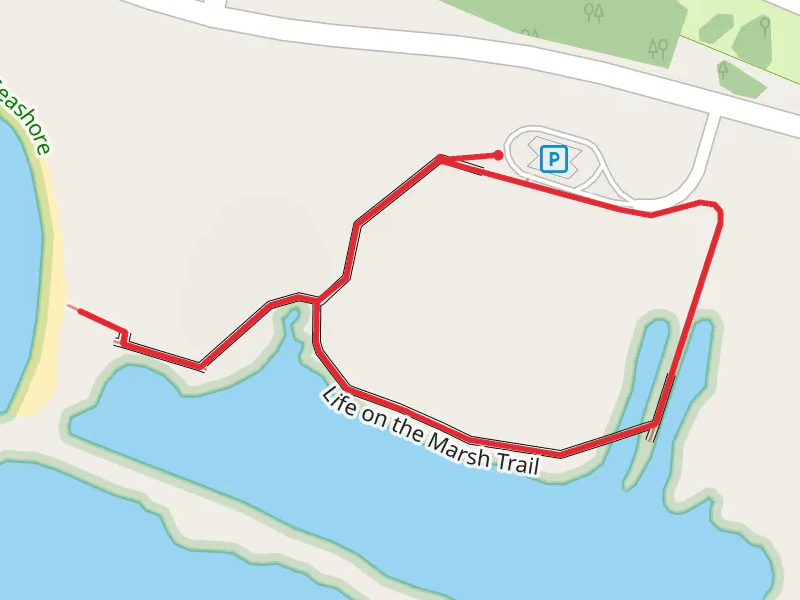 Life on the Marsh Loop Trail
