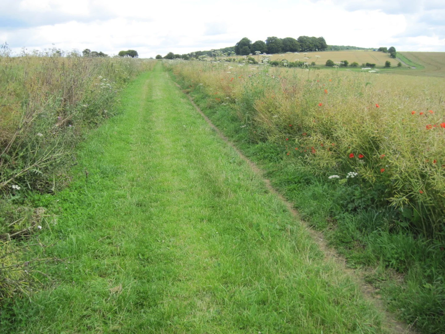 An image depicting the trail Cheesefoot Head Walk and its surrounding area.