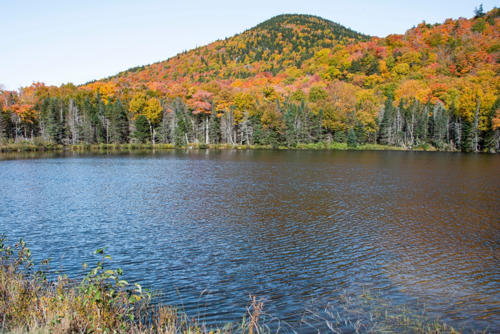 An image depicting the trail Around the Lake Trail and its surrounding area.
