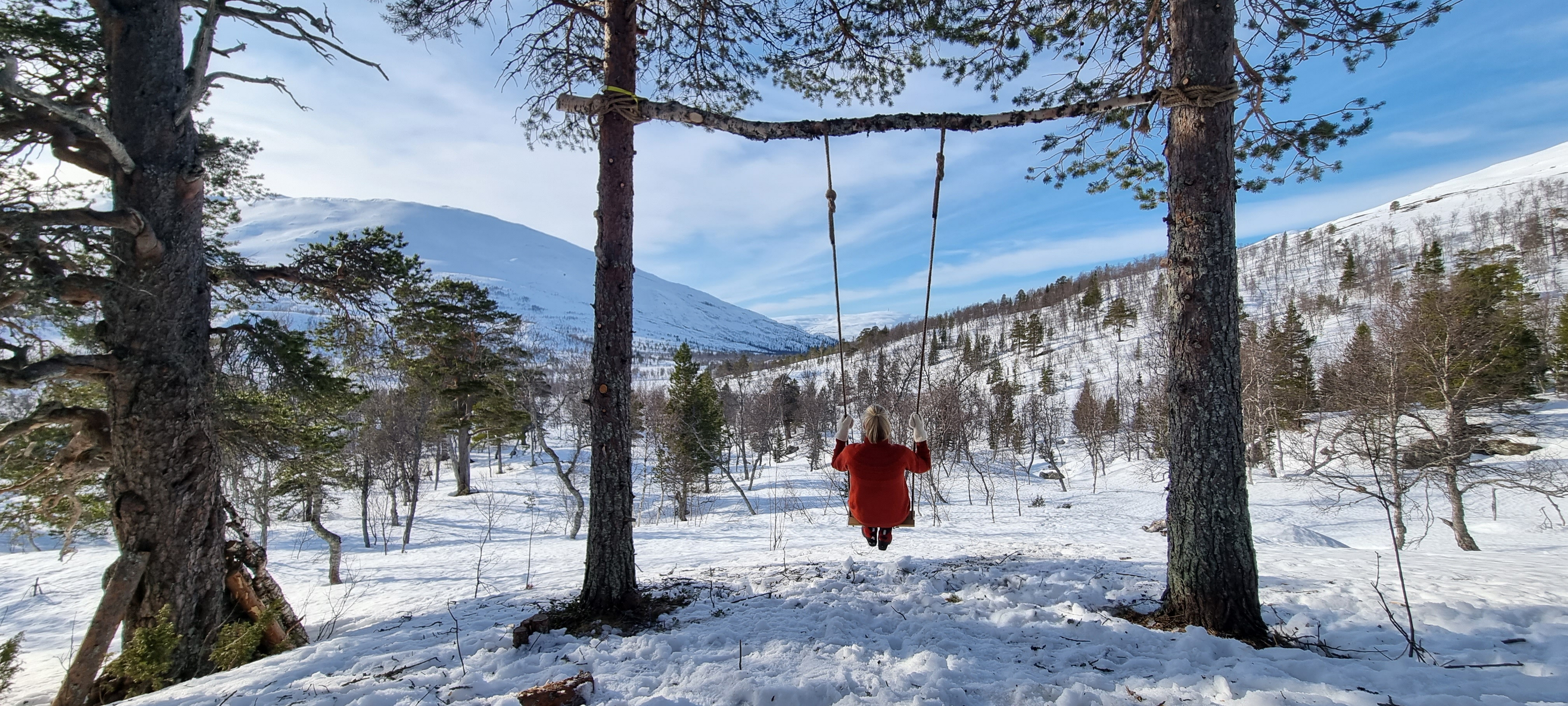 An image depicting the trail Børgefjell National Park and its surrounding area.