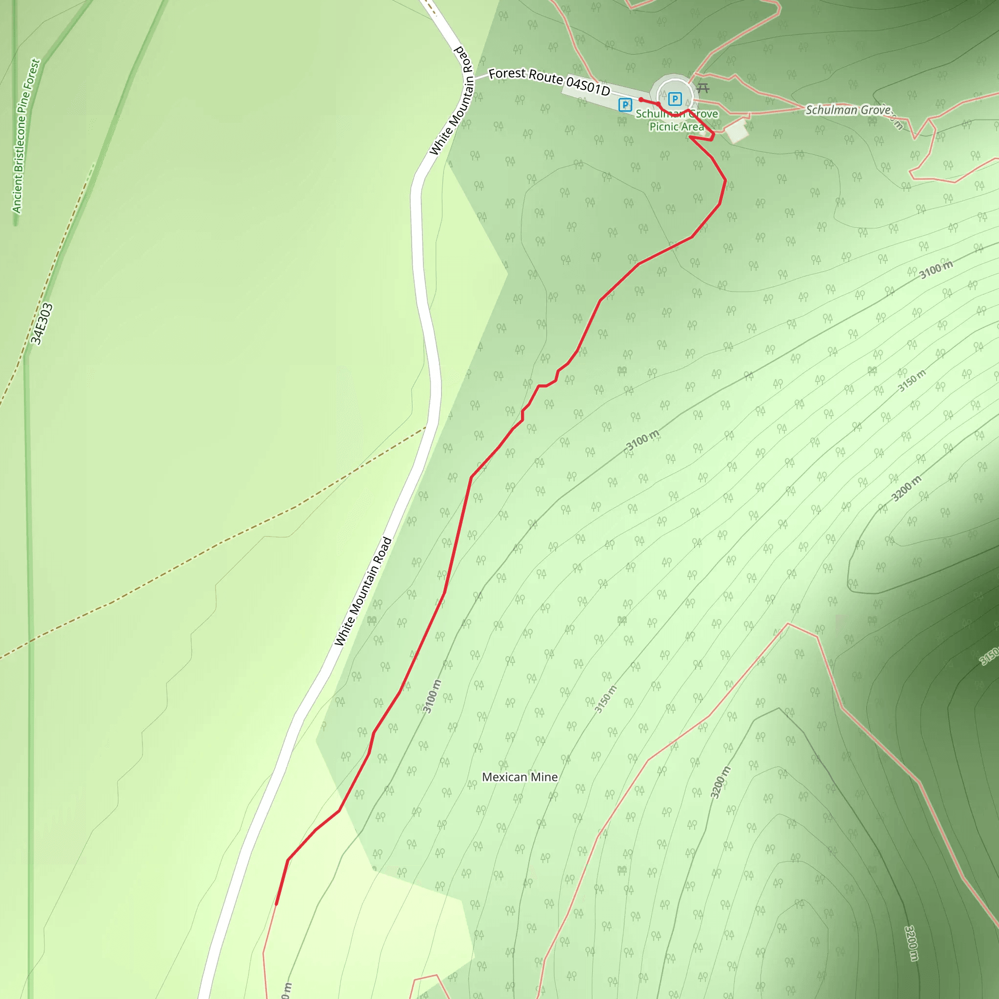 White Mountain Road Walk mobile static map