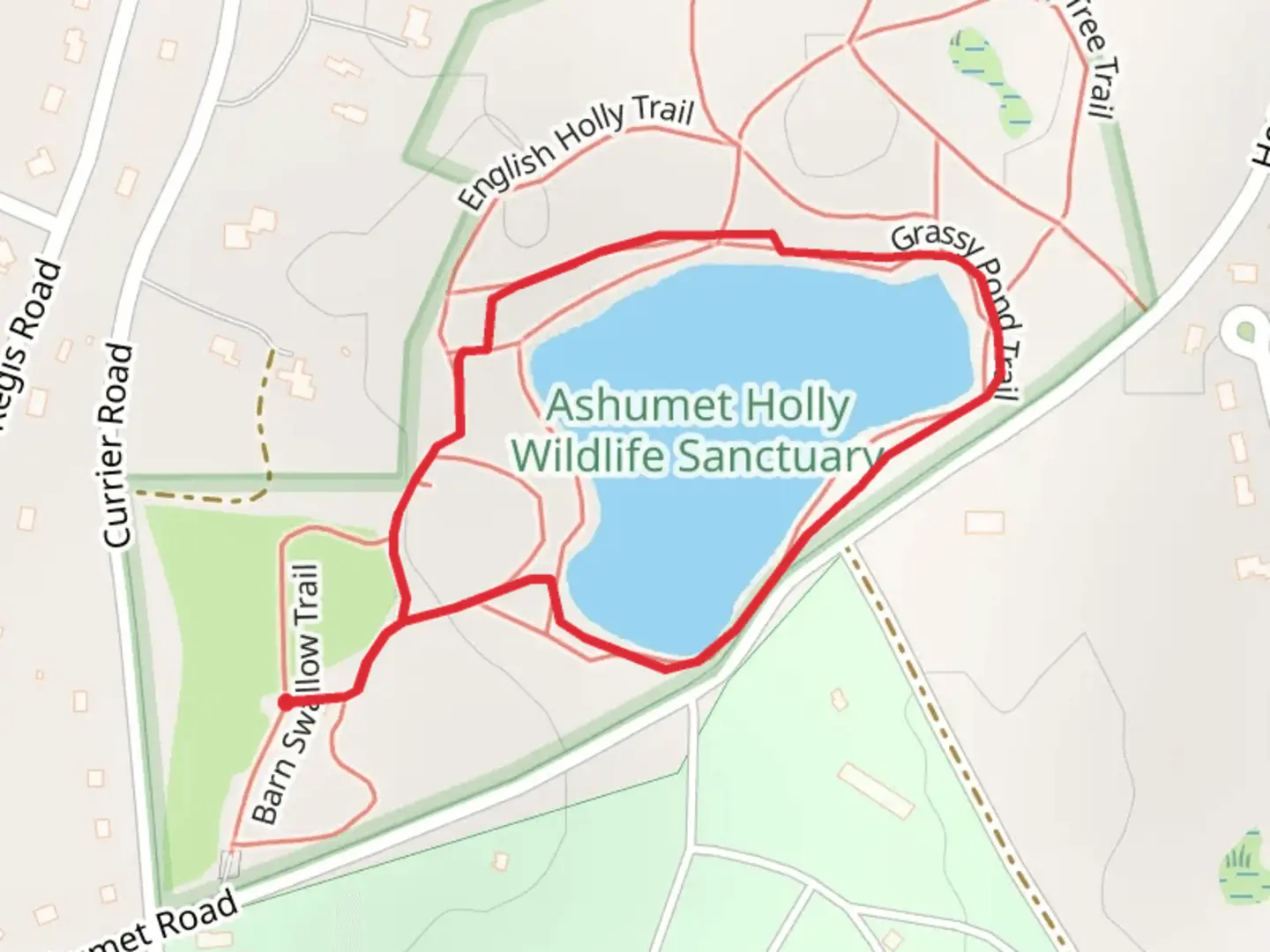 An image depicting the trail Grassy Pond Loop Trail and its surrounding area.