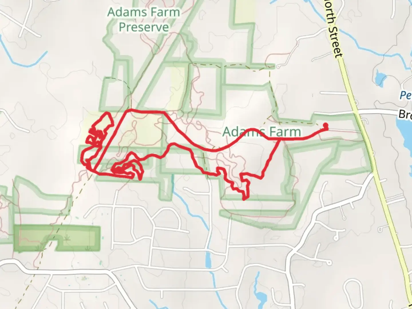 An image depicting the trail Blue Loop Trail - North Street and its surrounding area.