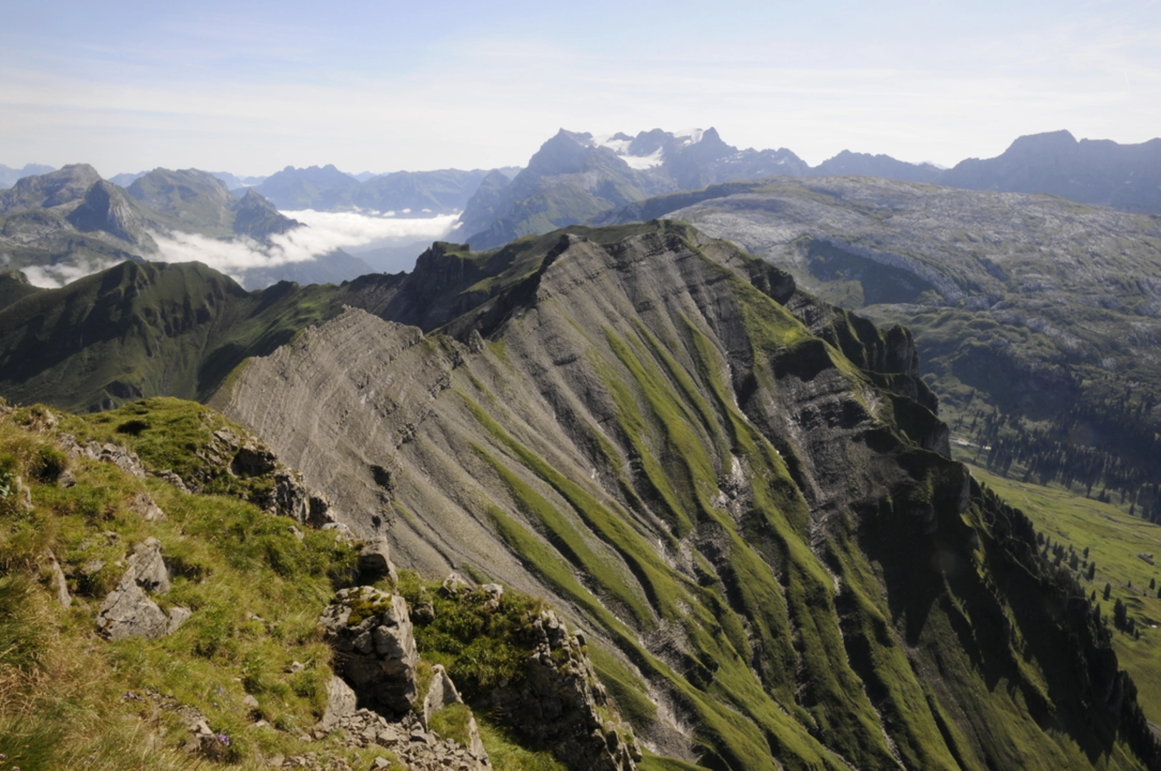An image depicting the trail Urwaldspur Loop and its surrounding area.
