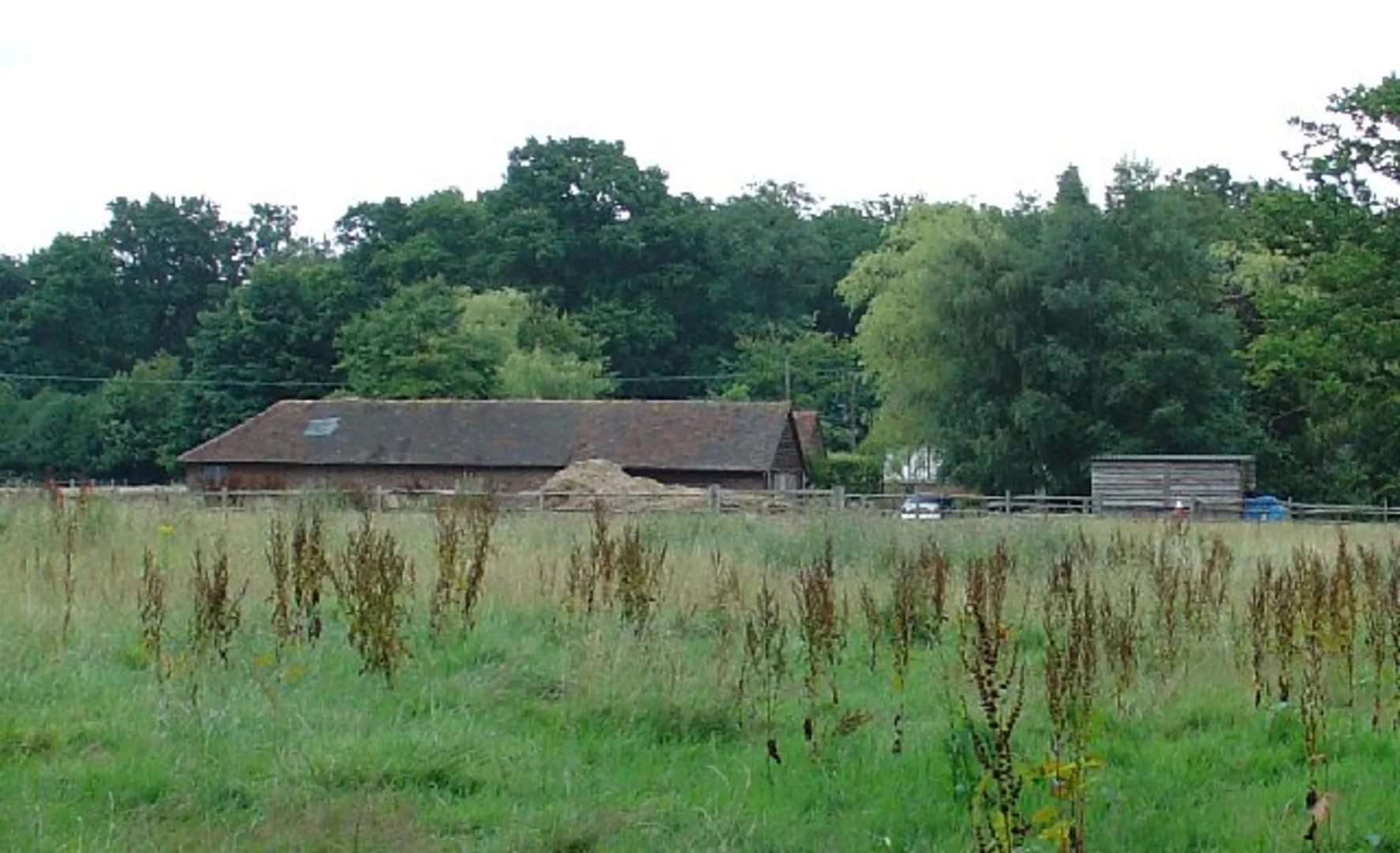 Staplefield and Ditton Place Loop | West Sussex | England