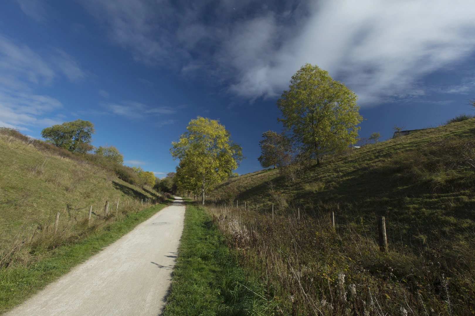 An image depicting the trail Tissington Trail and its surrounding area.