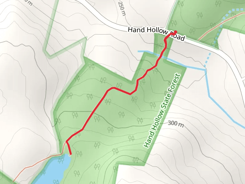Spiegelberg Lake Trail