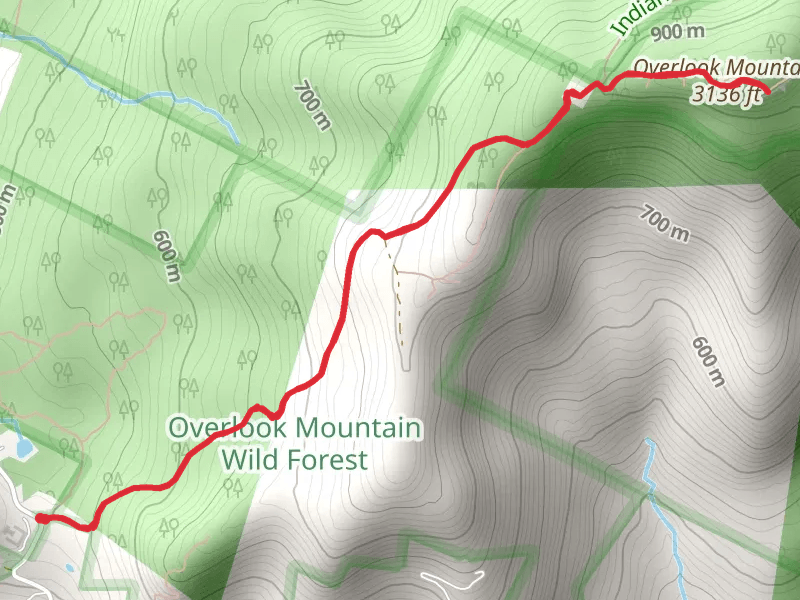 Overlook Summit Trail