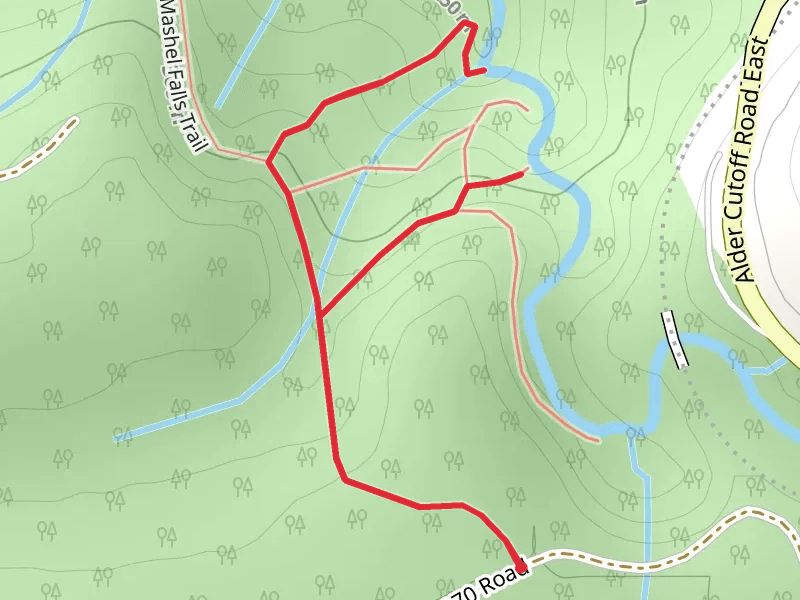 Little Mashel Falls Trail