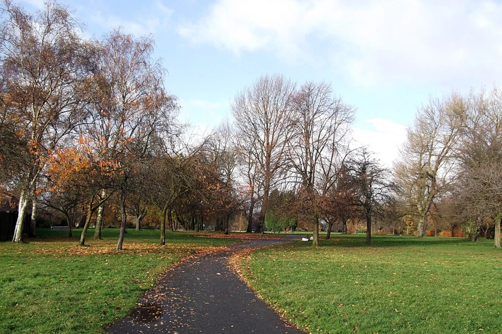 An image depicting the trail Brookdale Park Loop and its surrounding area.