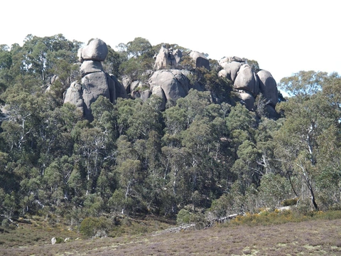 Mollison Galleries Rocky Creek Circuit Trail