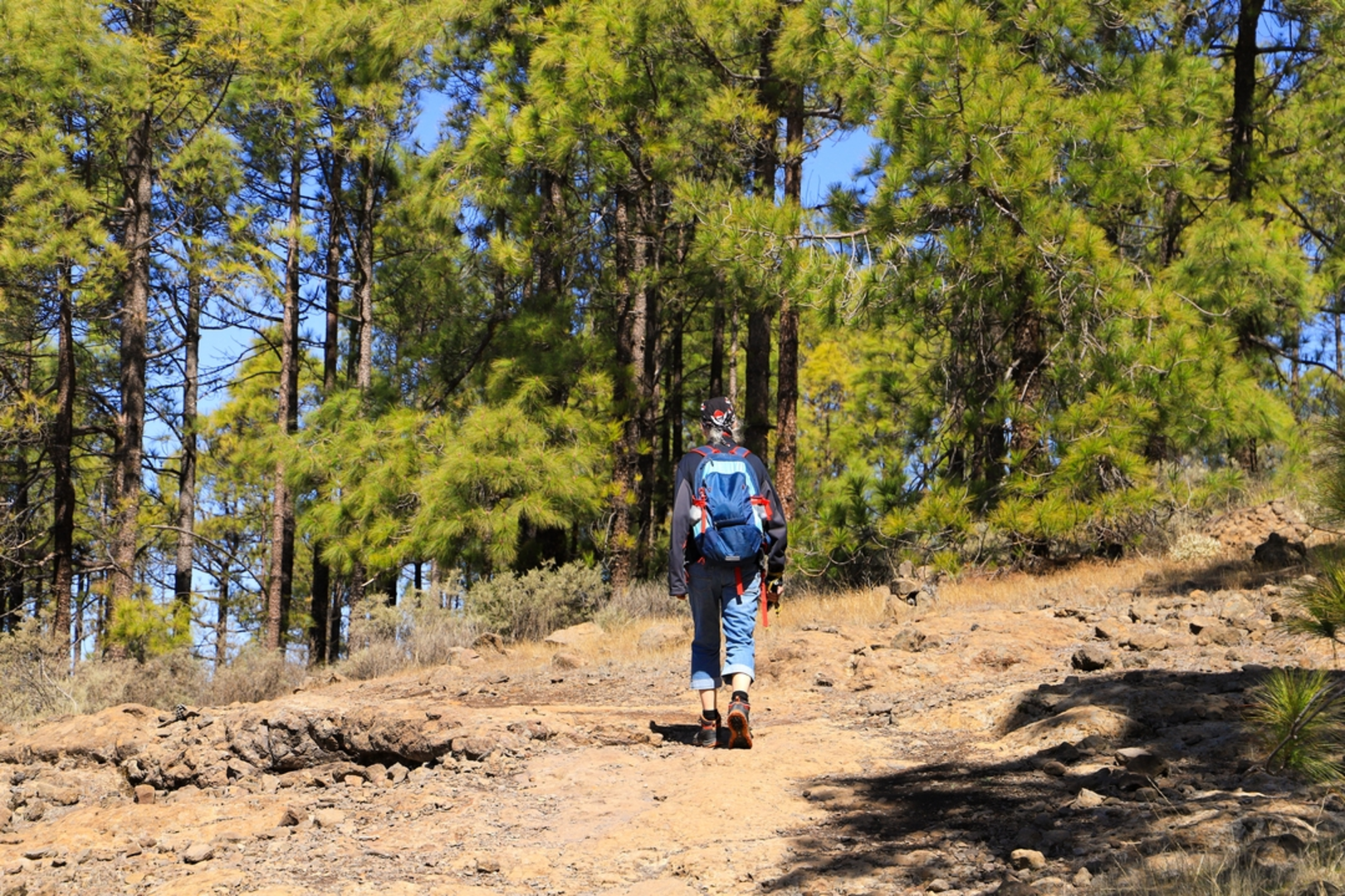 An image depicting the trail Pico de la Nieve Trail and its surrounding area.