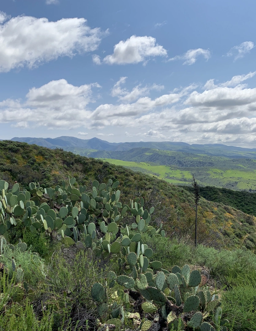 An image depicting the trail Juaneño Trail and Pump House Road Loop and its surrounding area.