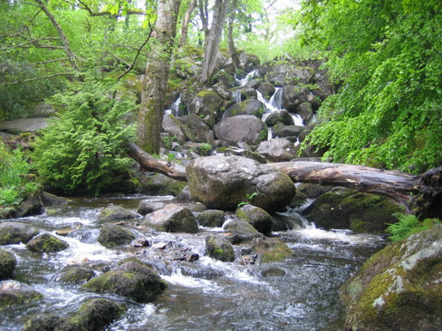 An image depicting the trail Becky Falls Loop and its surrounding area.