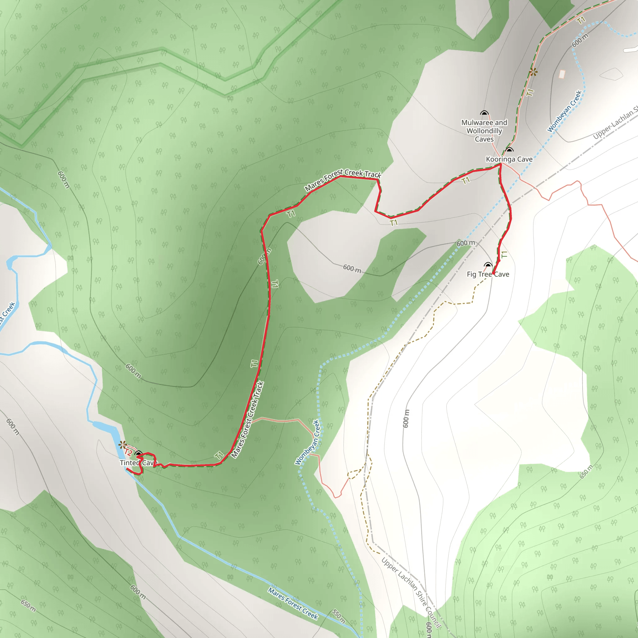 Mares Forest Creek Track mobile static map