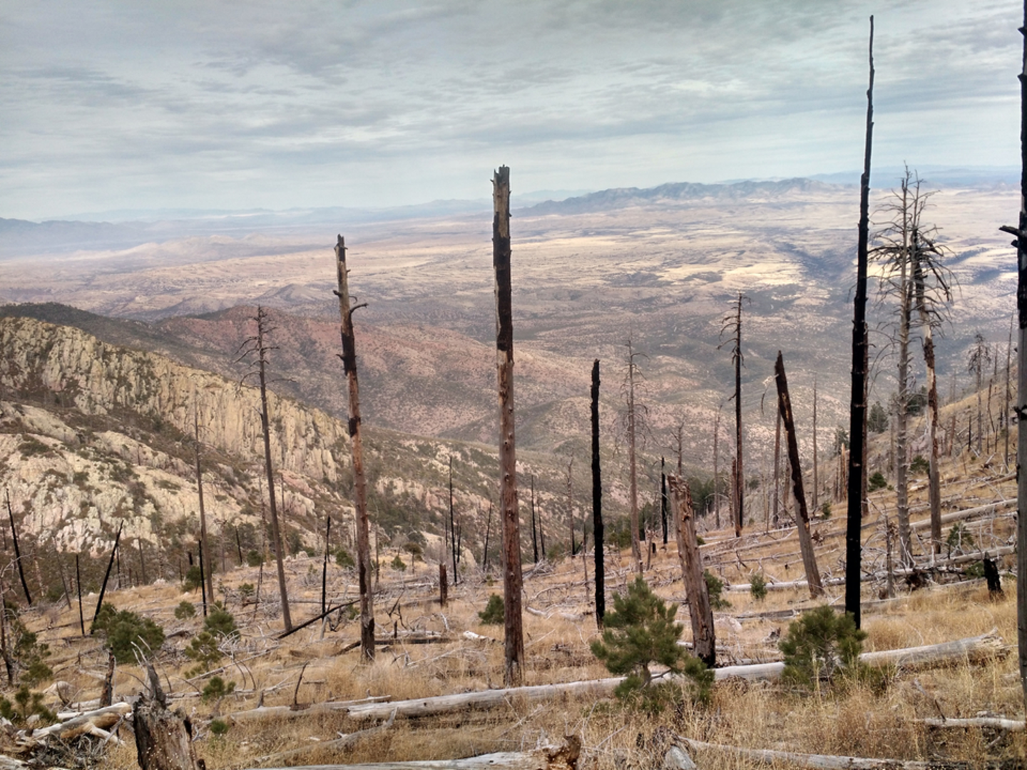 An image depicting the trail Vault Mine Loop Trail and its surrounding area.