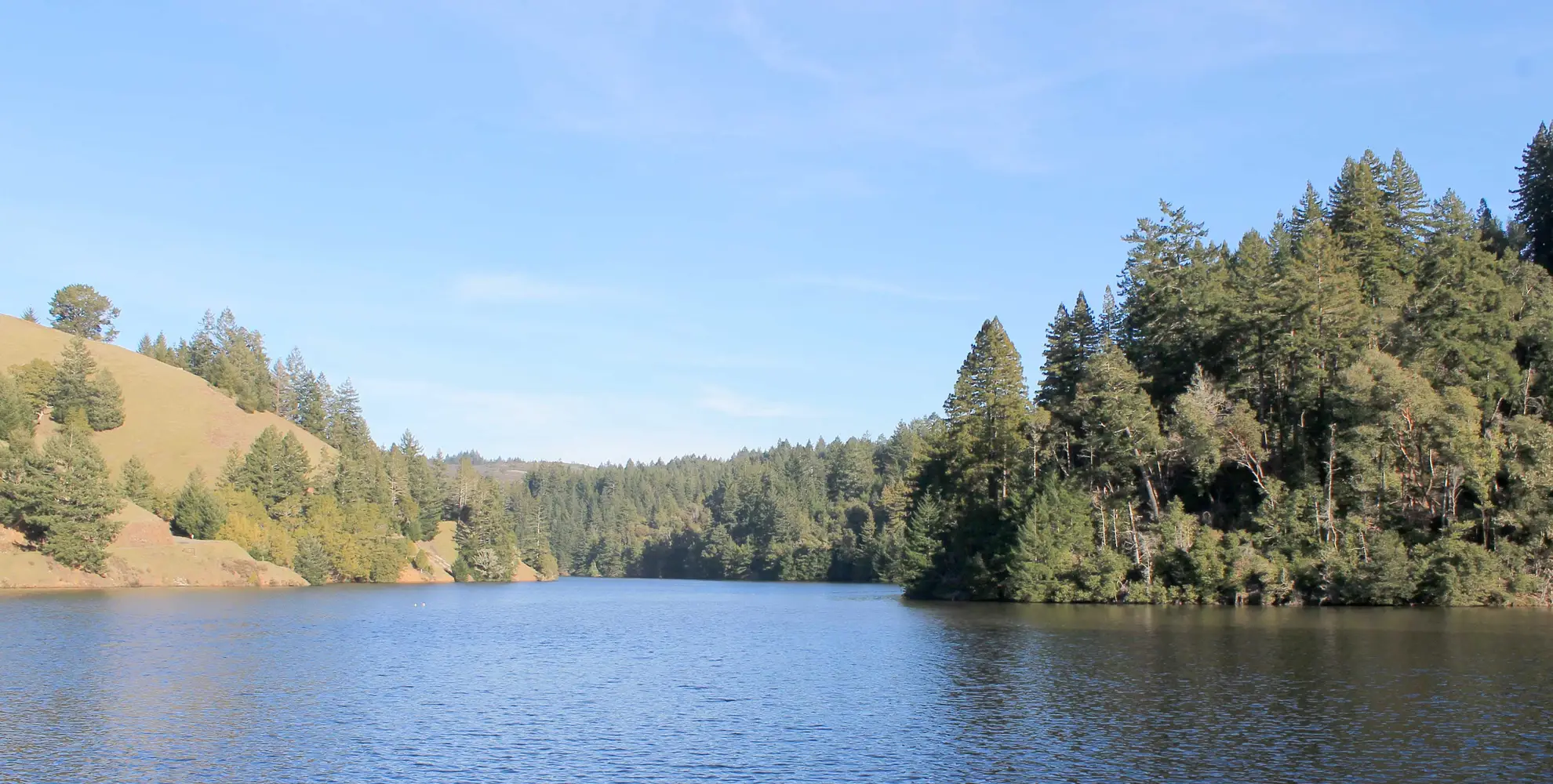 An image depicting the trail Alpine Lake via Helen Markt Trail and its surrounding area.