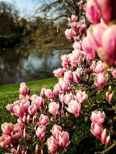 Kurparkweiher Loop in Kurpark