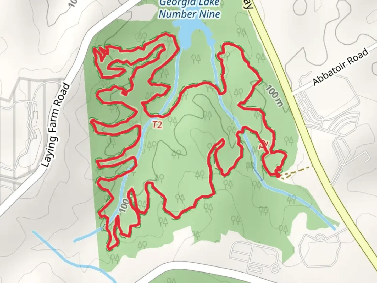 An image depicting the trail Selma Erwin Nature Loop Trail and its surrounding area.