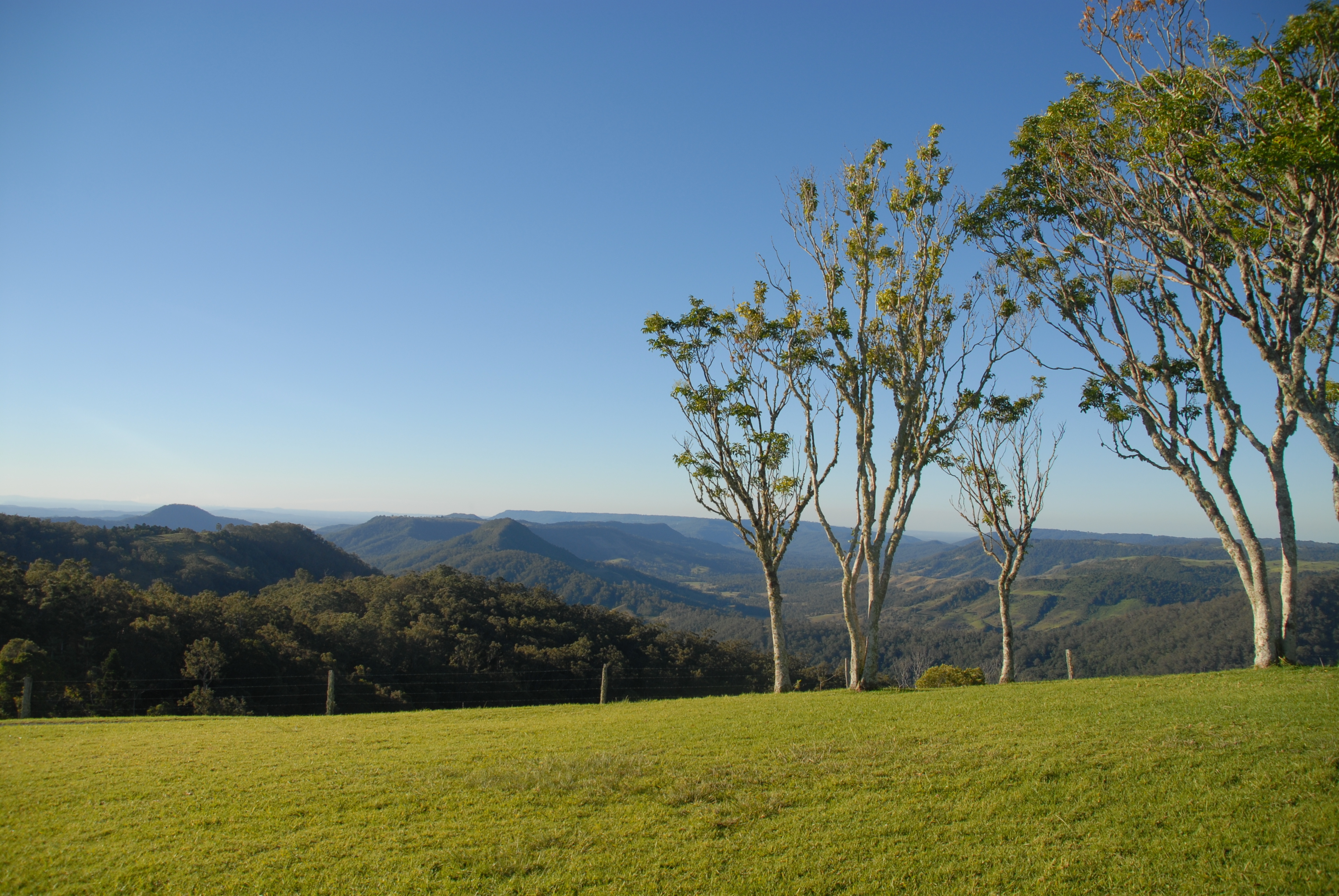 An image depicting the trail Lamington National Park and its surrounding area.