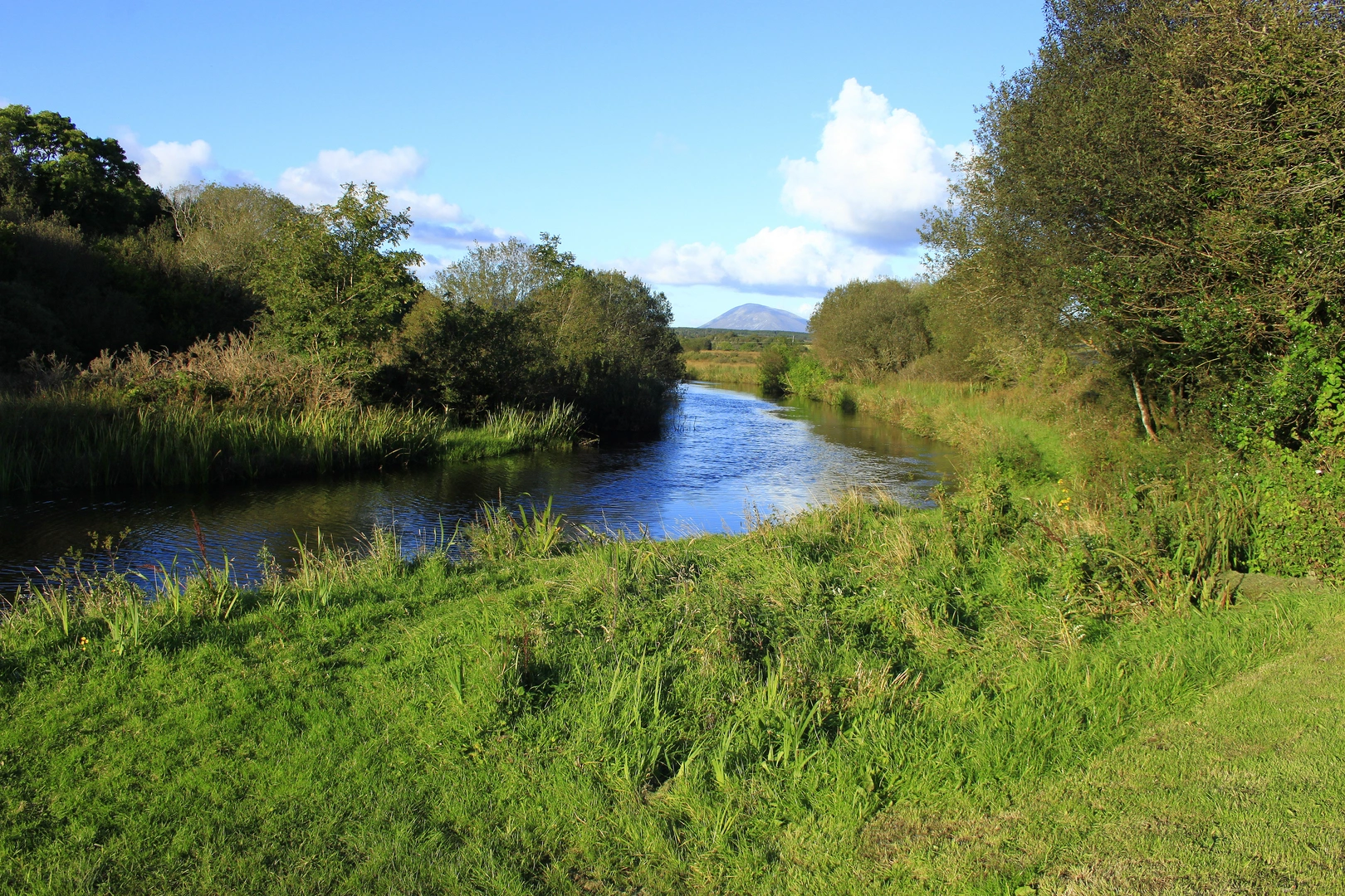 An image depicting the trail Lough Aroher Loop and its surrounding area.