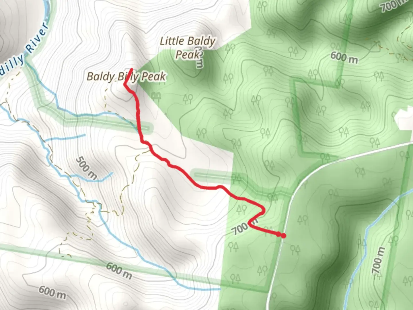 An image depicting the trail Baldy Billy Peak Track and its surrounding area.