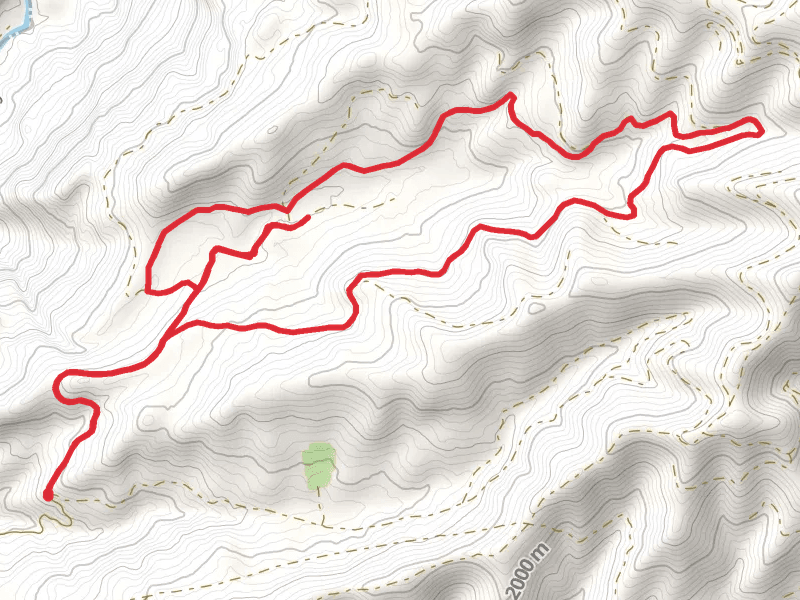 Big Rattlesnake Creek Loop