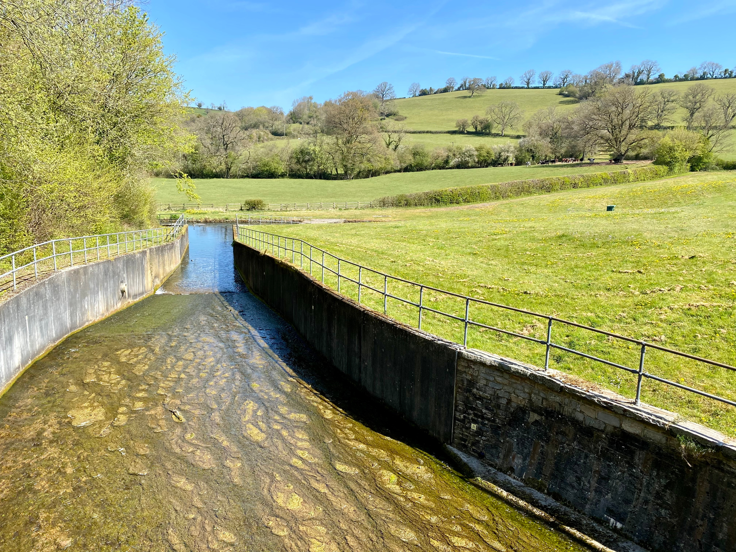 An image depicting the trail Butcombe Trail and its surrounding area.