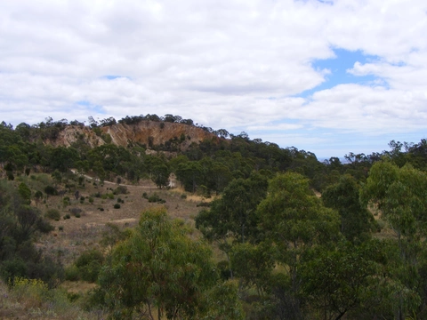 Pink Gum Loop Walk