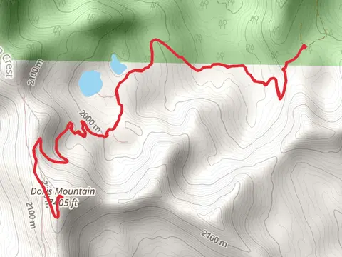 Doris Mountain Out and Back