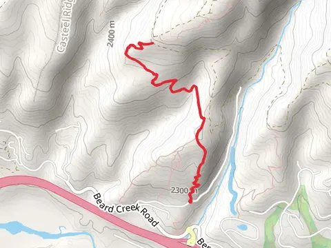 Berry Creek Trail