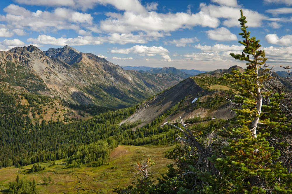 An image depicting the trail North Cascades National Park and its surrounding area.