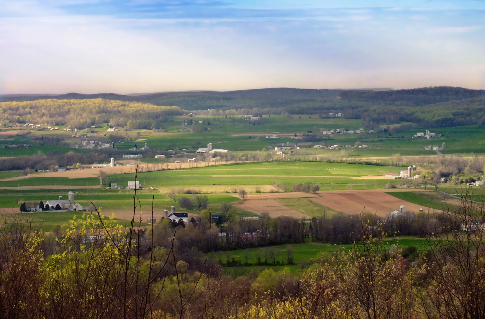 An image depicting the trail Money Rocks Overlook Trail and its surrounding area.