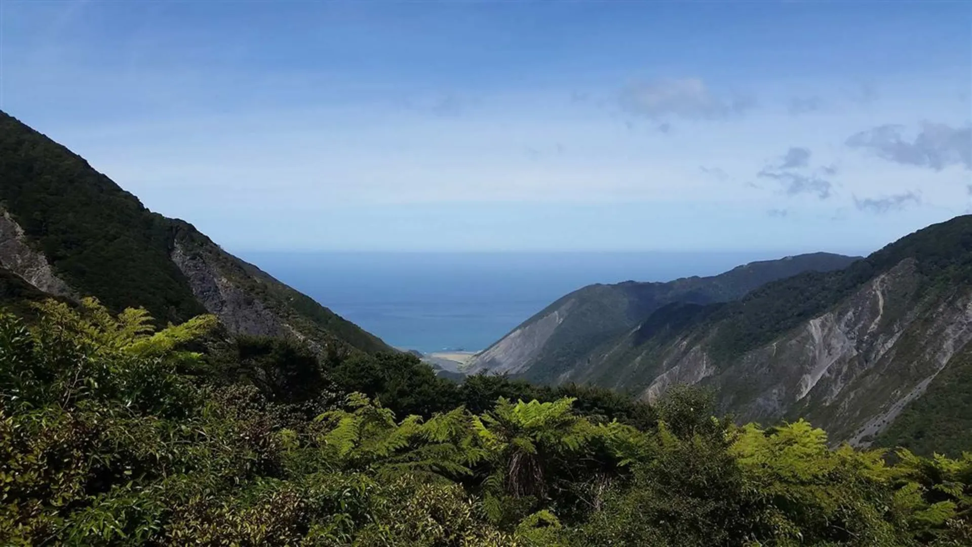 An image depicting the trail Mt Matthews and its surrounding area.