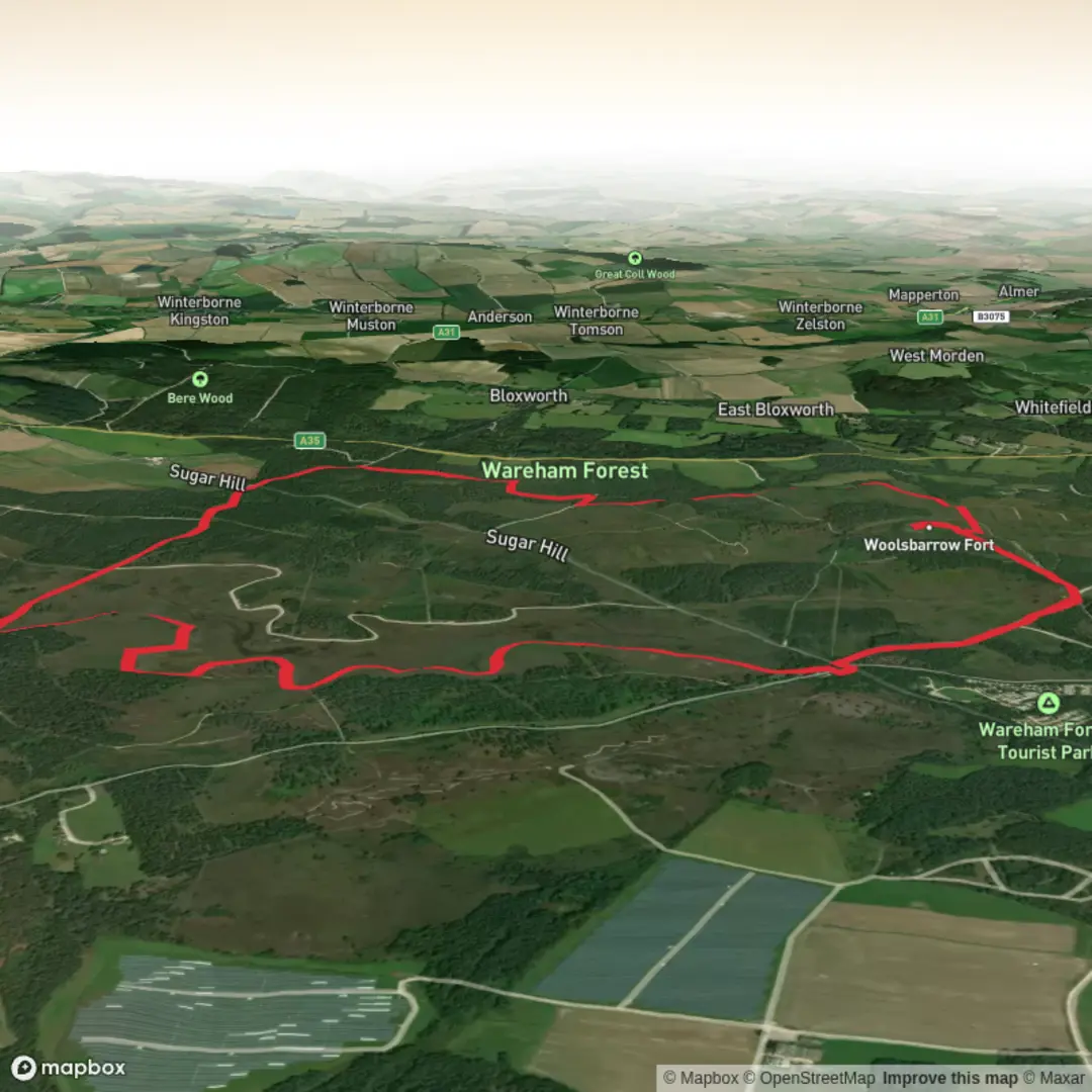 An image depicting the trail Bloxworth Heath & Woolsbarrow - Dorset and its surrounding area.
